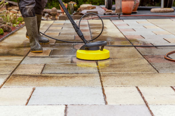 Best Pre-Holiday Cleaning  in Colony Rk, PA