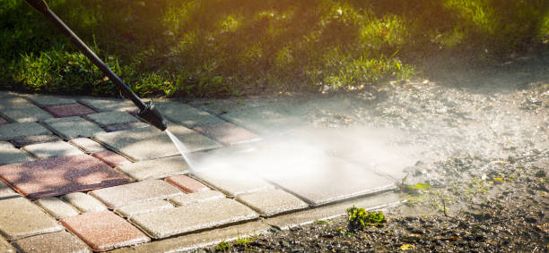 Best Sidewalk and Walkway Cleaning  in Colony Rk, PA
